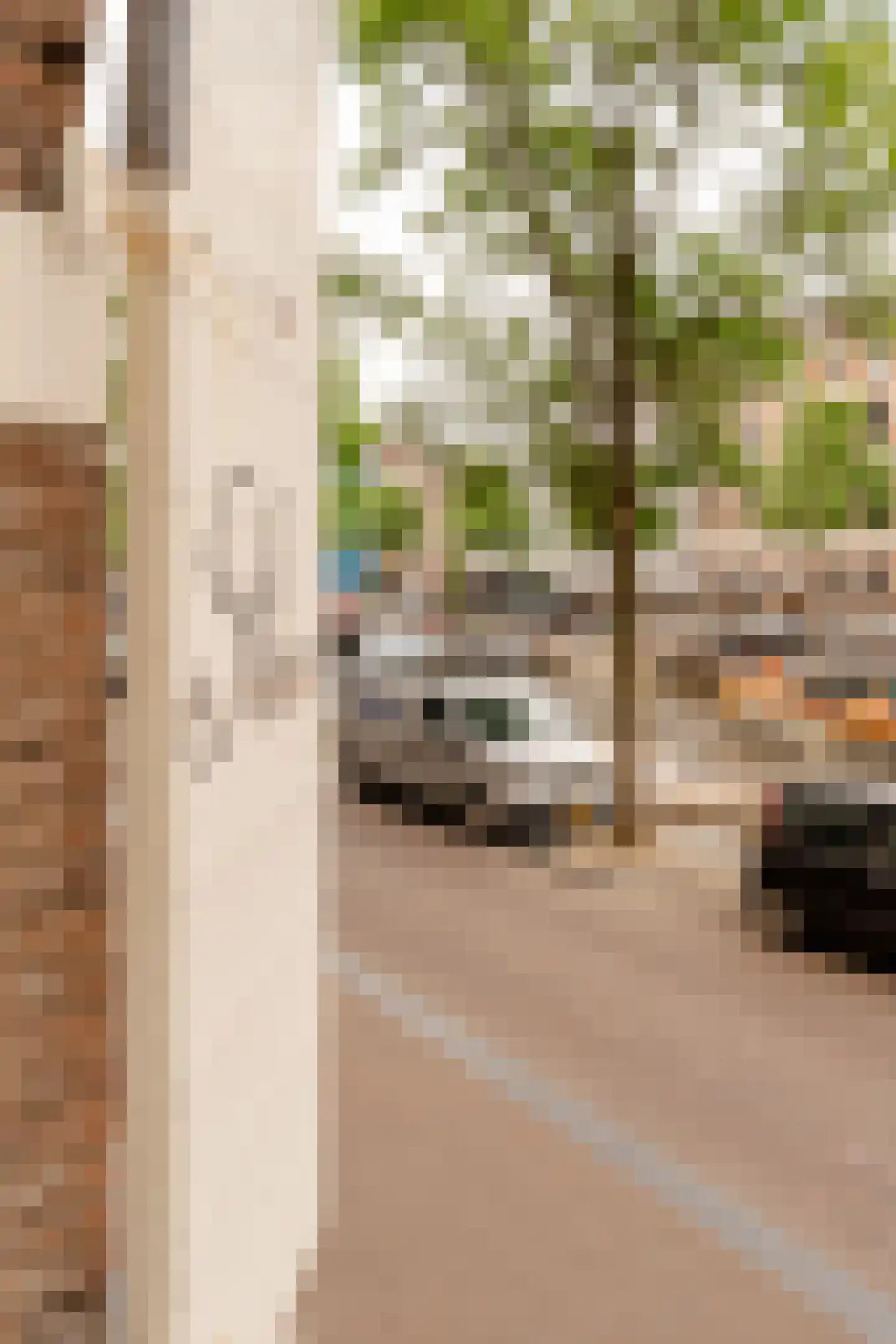 Prinsengracht 536 H Amsterdam thumbnail 6