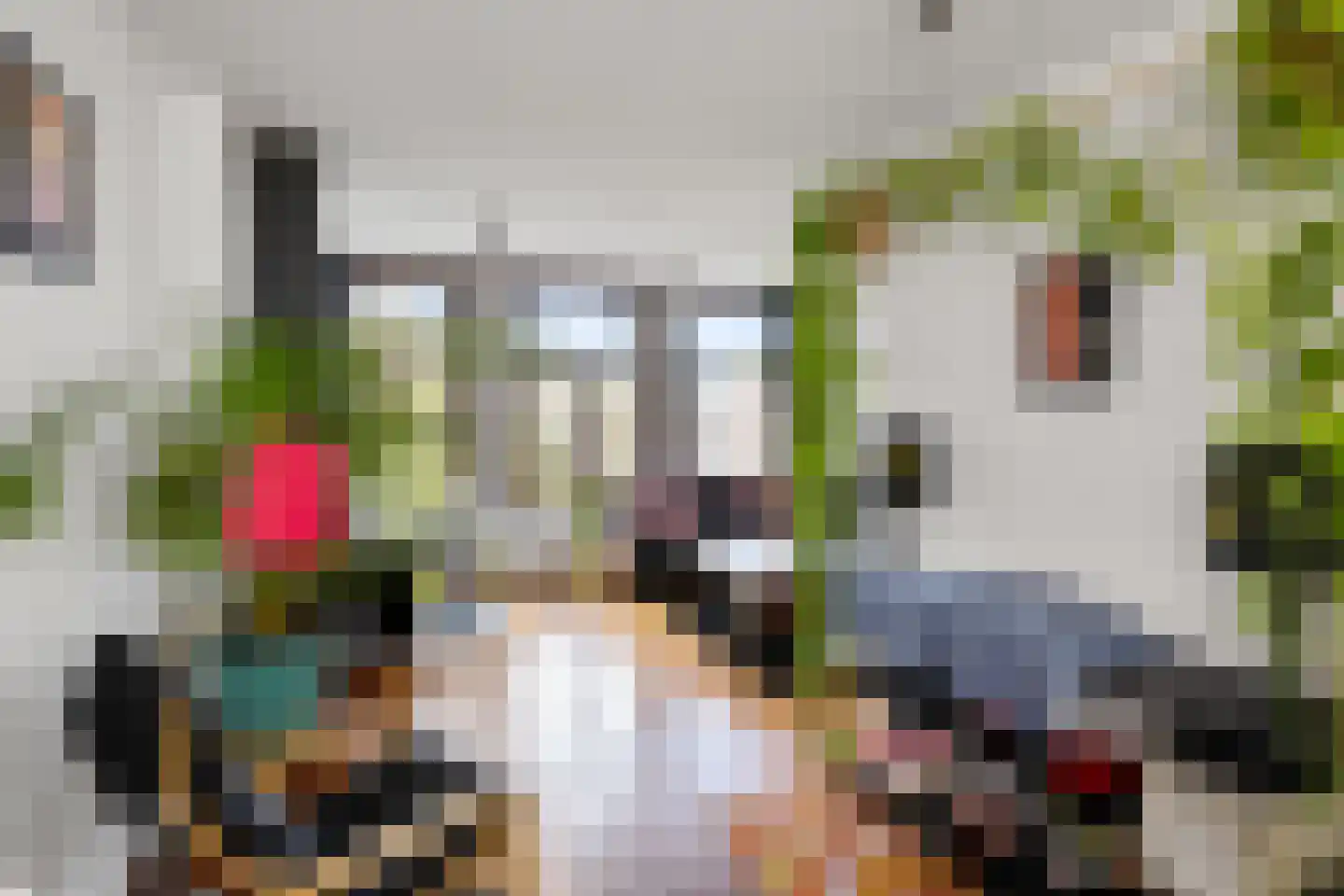 Prinsengracht 545 2 Amsterdam thumbnail 7