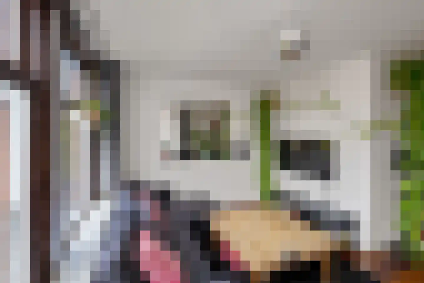 Prinsengracht 545 2 Amsterdam thumbnail 9