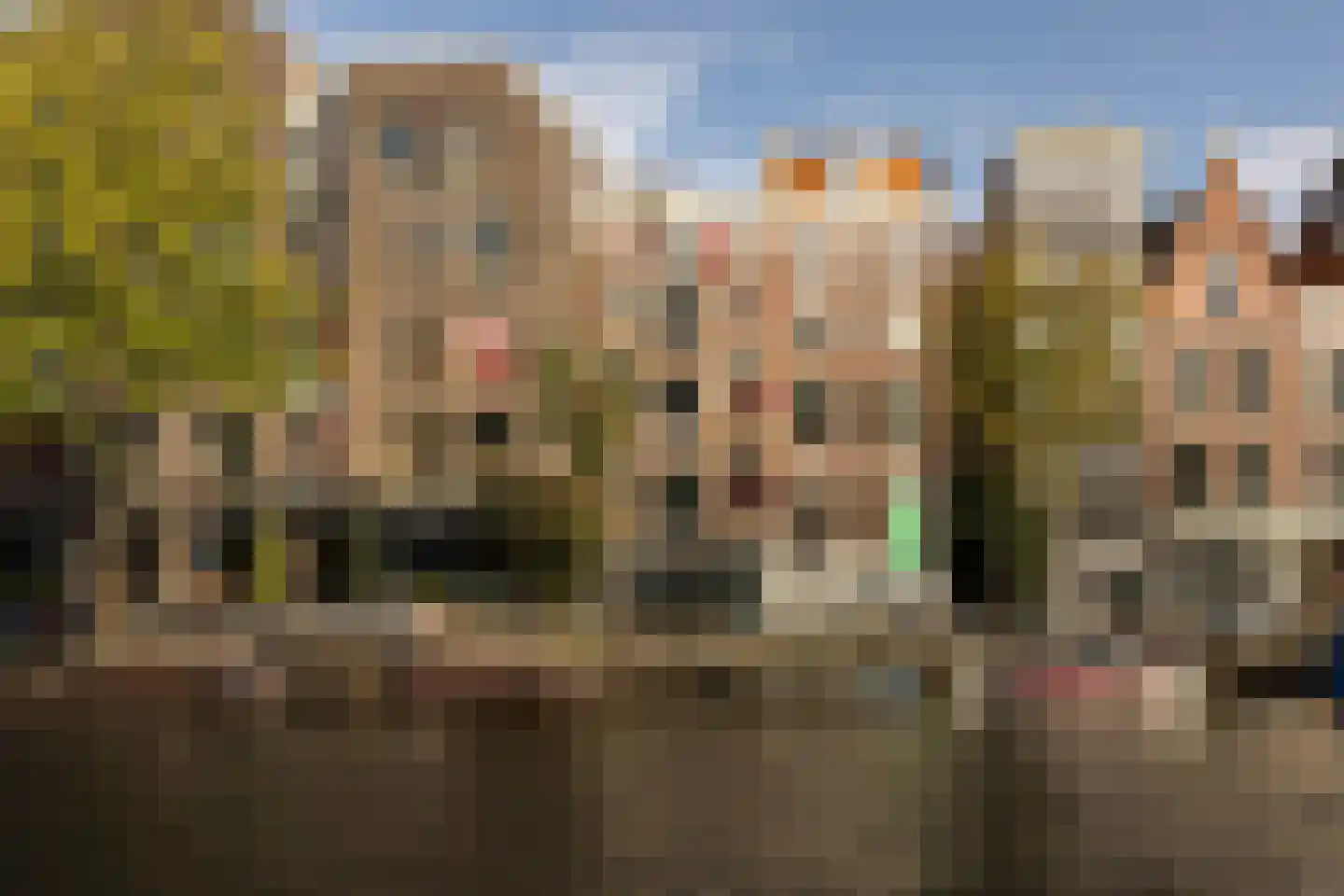 Prinsengracht 611 in Amsterdam