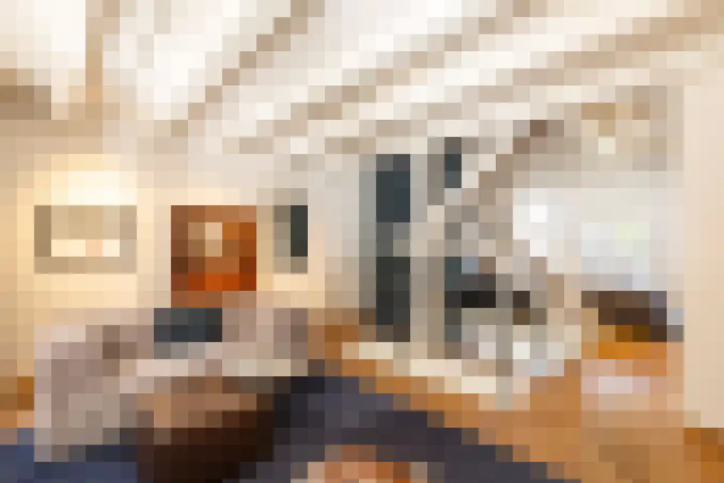 Prinsengracht 611 A Amsterdam thumbnail 18