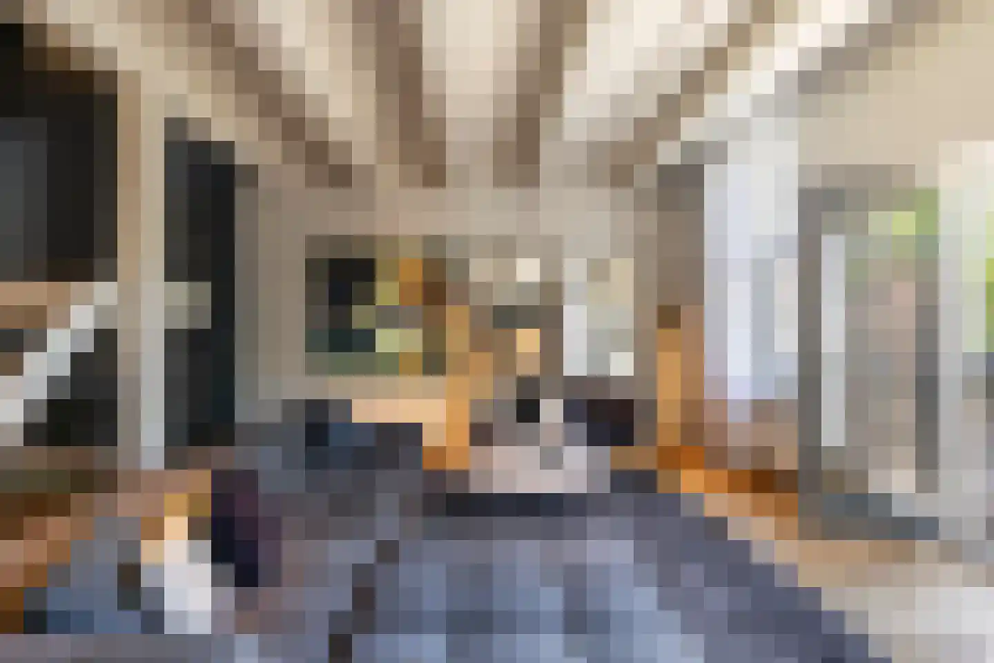 Prinsengracht 611 A Amsterdam thumbnail 21