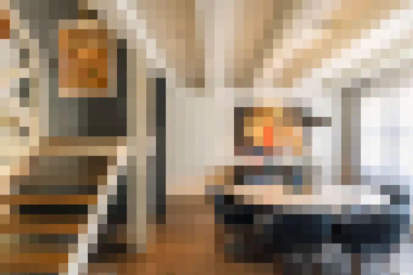 Prinsengracht 611 A Amsterdam thumbnail 7