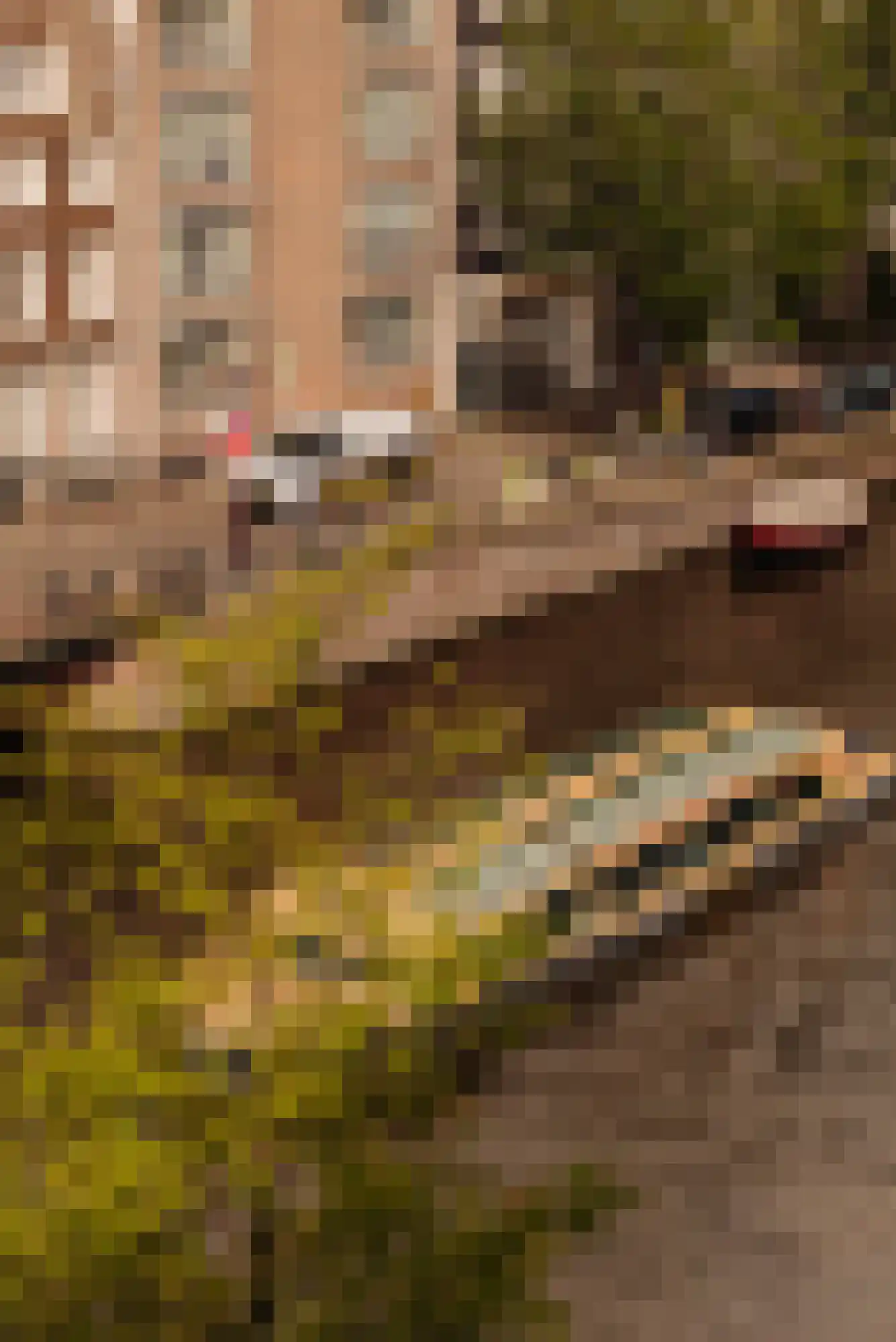 Prinsengracht 655 B Amsterdam thumbnail 66