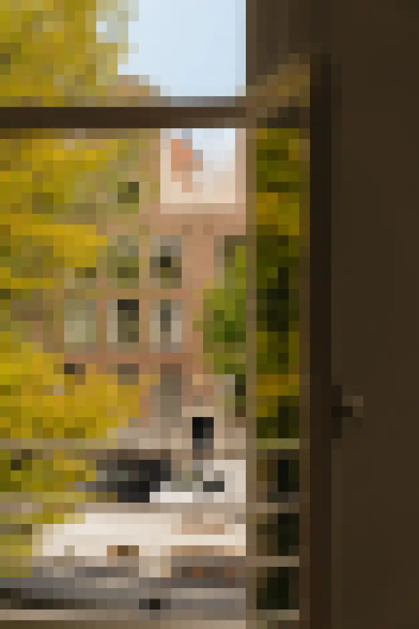 Prinsengracht 656 B Amsterdam thumbnail 8