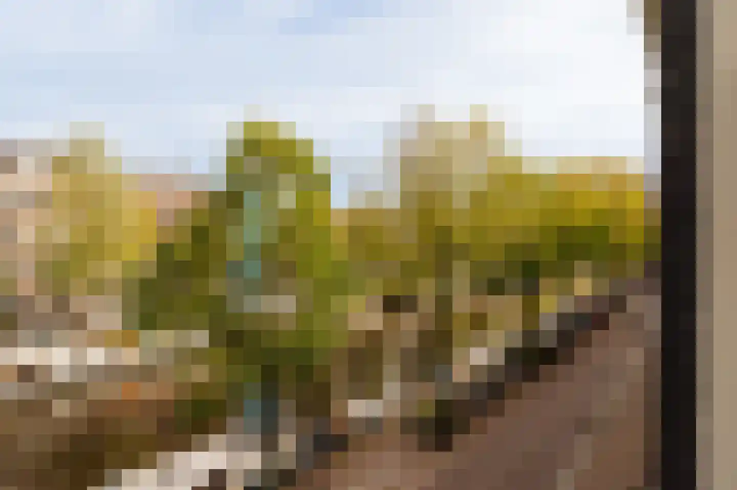Prinsengracht 656 B Amsterdam thumbnail 9
