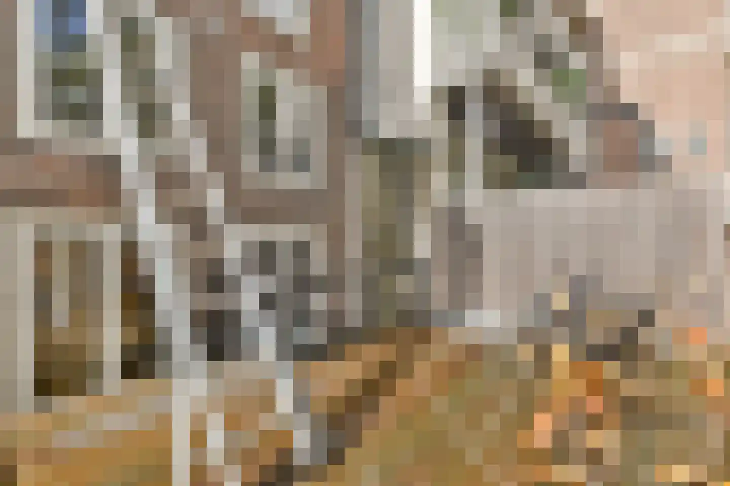 Prinsengracht 657 B Amsterdam thumbnail 25