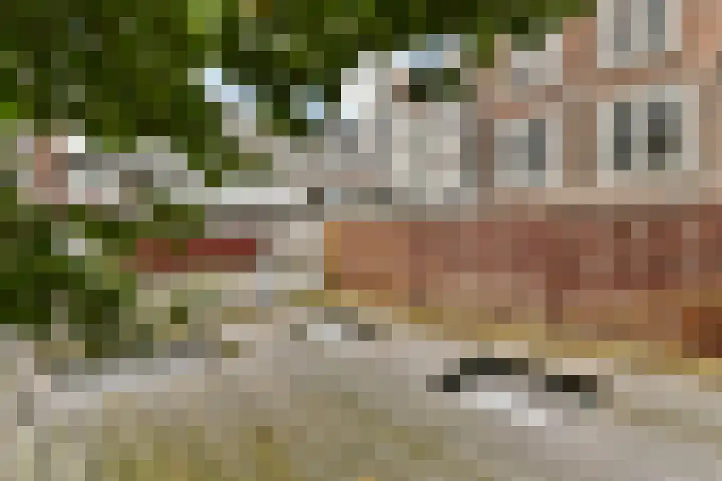 Prinsengracht 657 D Amsterdam thumbnail 15