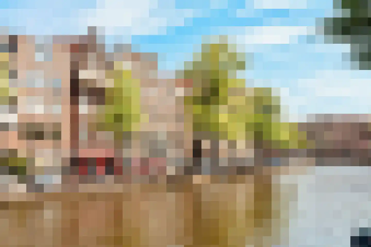 Prinsengracht 663 Amsterdam thumbnail 42