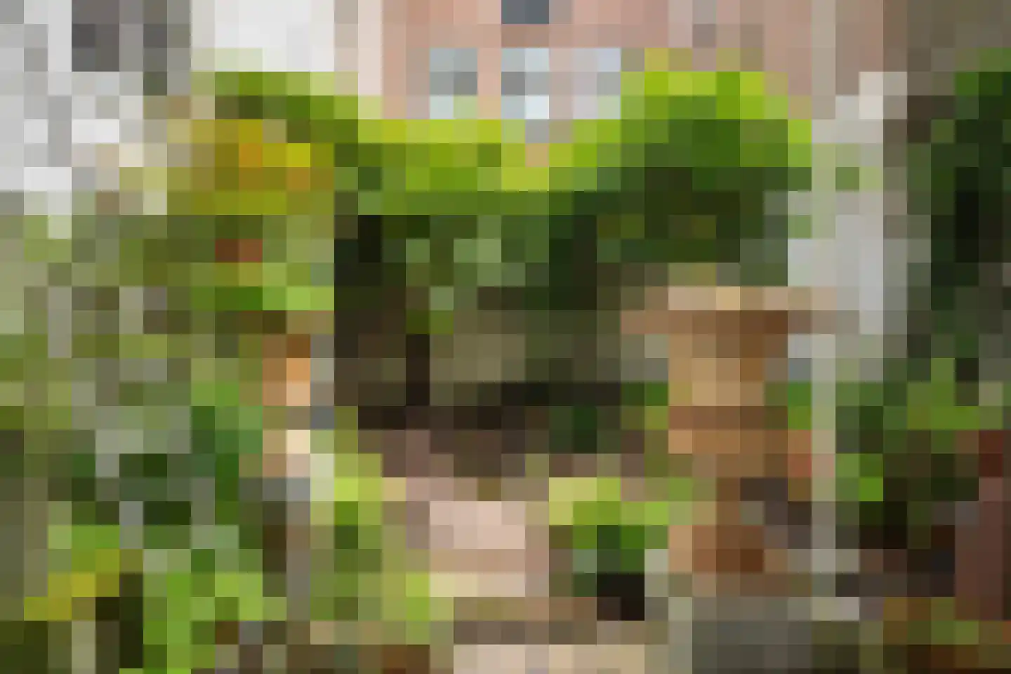 Prinsengracht 677 Amsterdam thumbnail 7