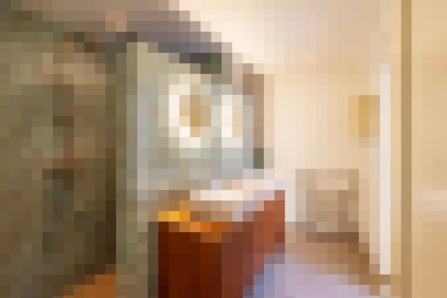 Prinsengracht 725 Amsterdam thumbnail 30