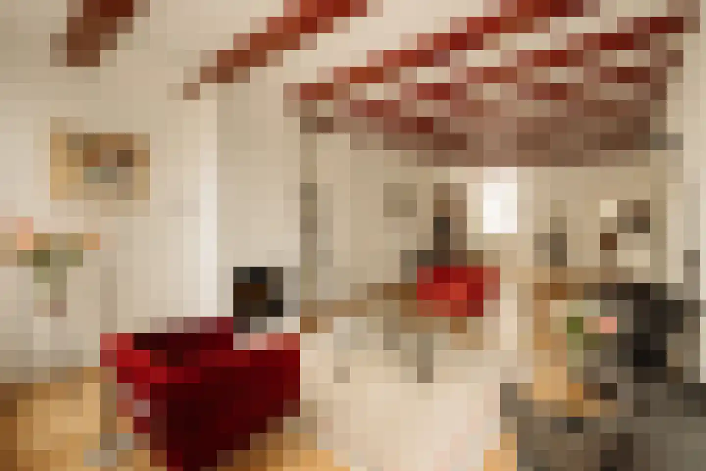 Prinsengracht 738 Amsterdam thumbnail 13