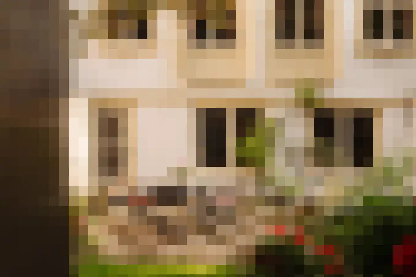 Prinsengracht 738 Amsterdam thumbnail 23