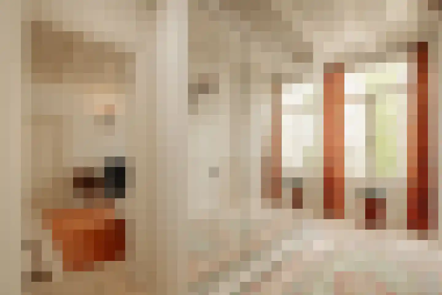 Prinsengracht 738 Amsterdam thumbnail 29