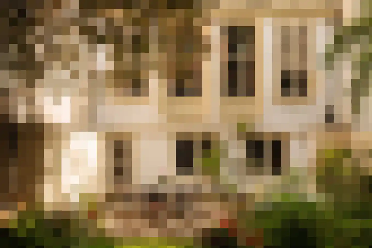 Prinsengracht 738 Amsterdam thumbnail 46