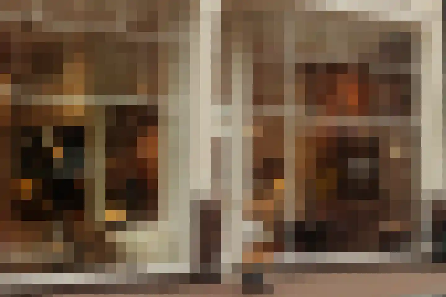 Prinsengracht 738 Amsterdam thumbnail 58