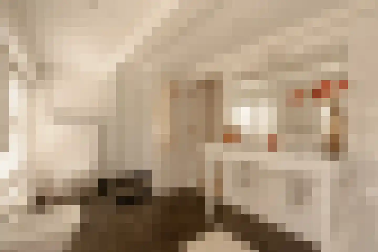 Prinsengracht 740 Amsterdam thumbnail 22