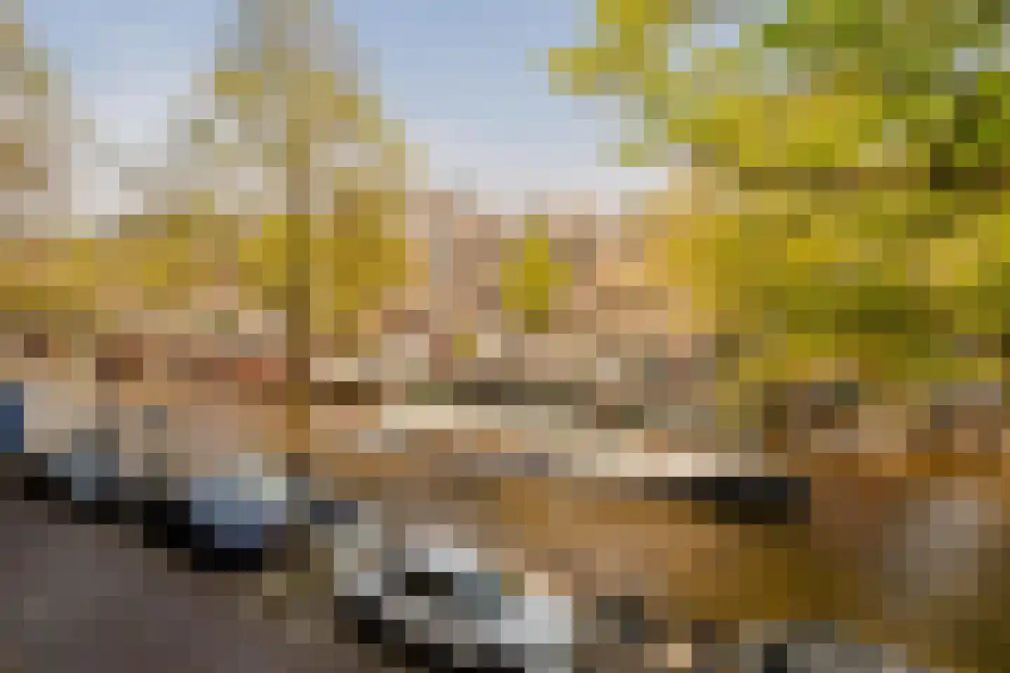 Prinsengracht 740 Amsterdam thumbnail 8