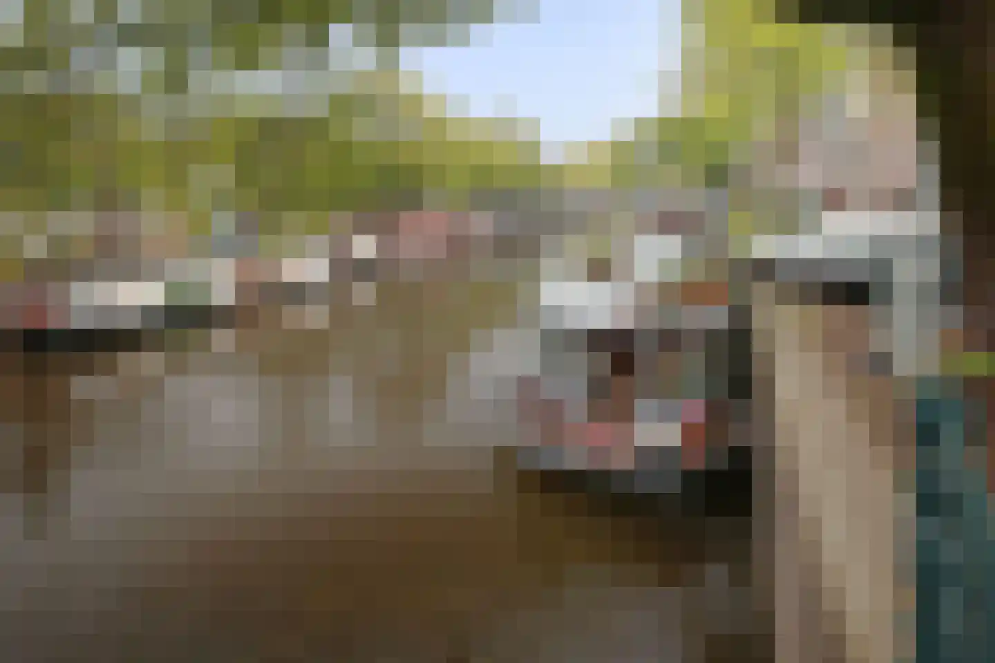 Prinsengracht 756 S Amsterdam thumbnail 33