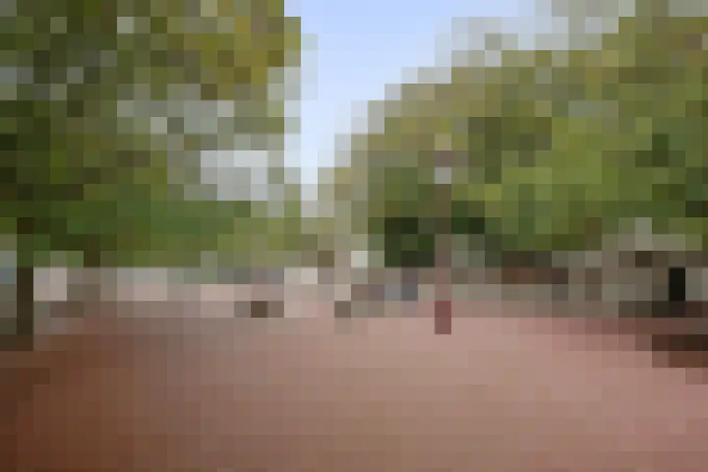 Prinsengracht 756 S Amsterdam thumbnail 44