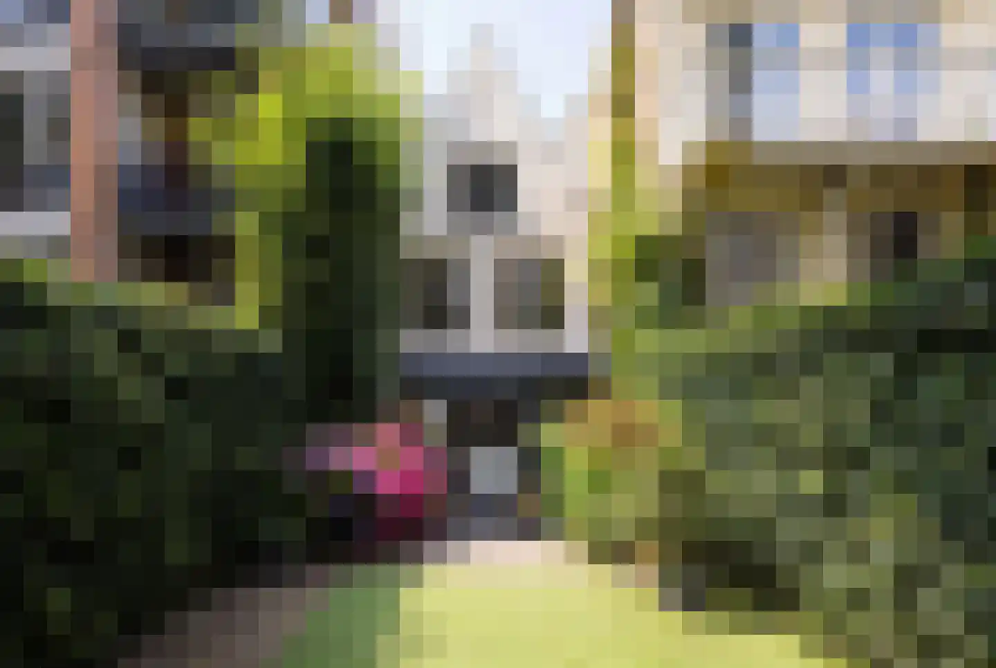 Prinsengracht 77 Amsterdam thumbnail 22