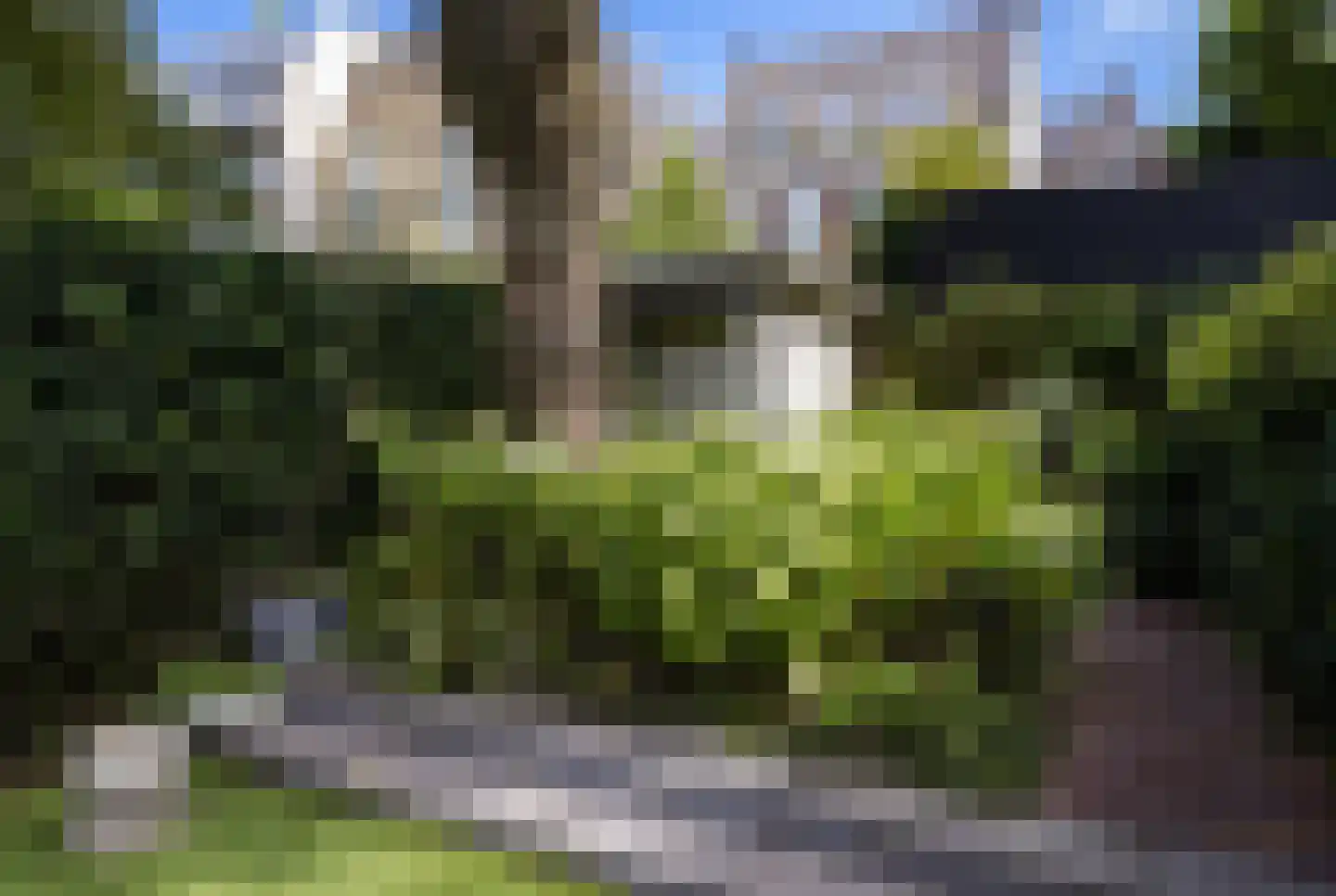 Prinsengracht 77 Amsterdam thumbnail 25