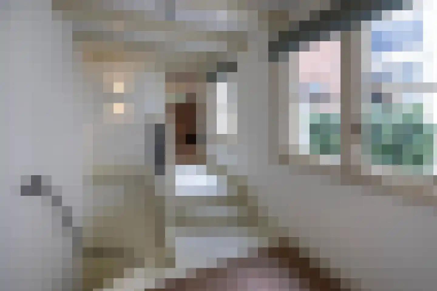 Prinsengracht 77 Amsterdam thumbnail 37