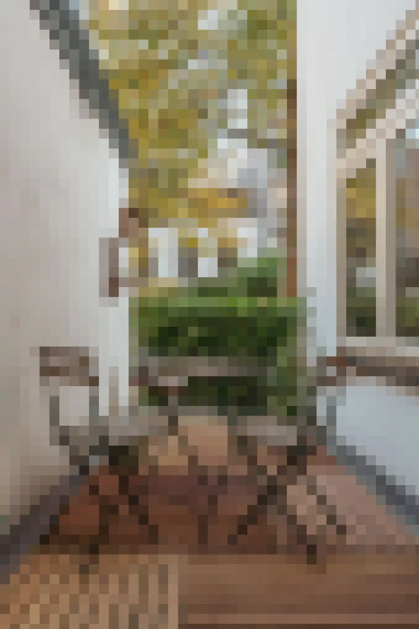 Prinsengracht 788 O Amsterdam thumbnail 12