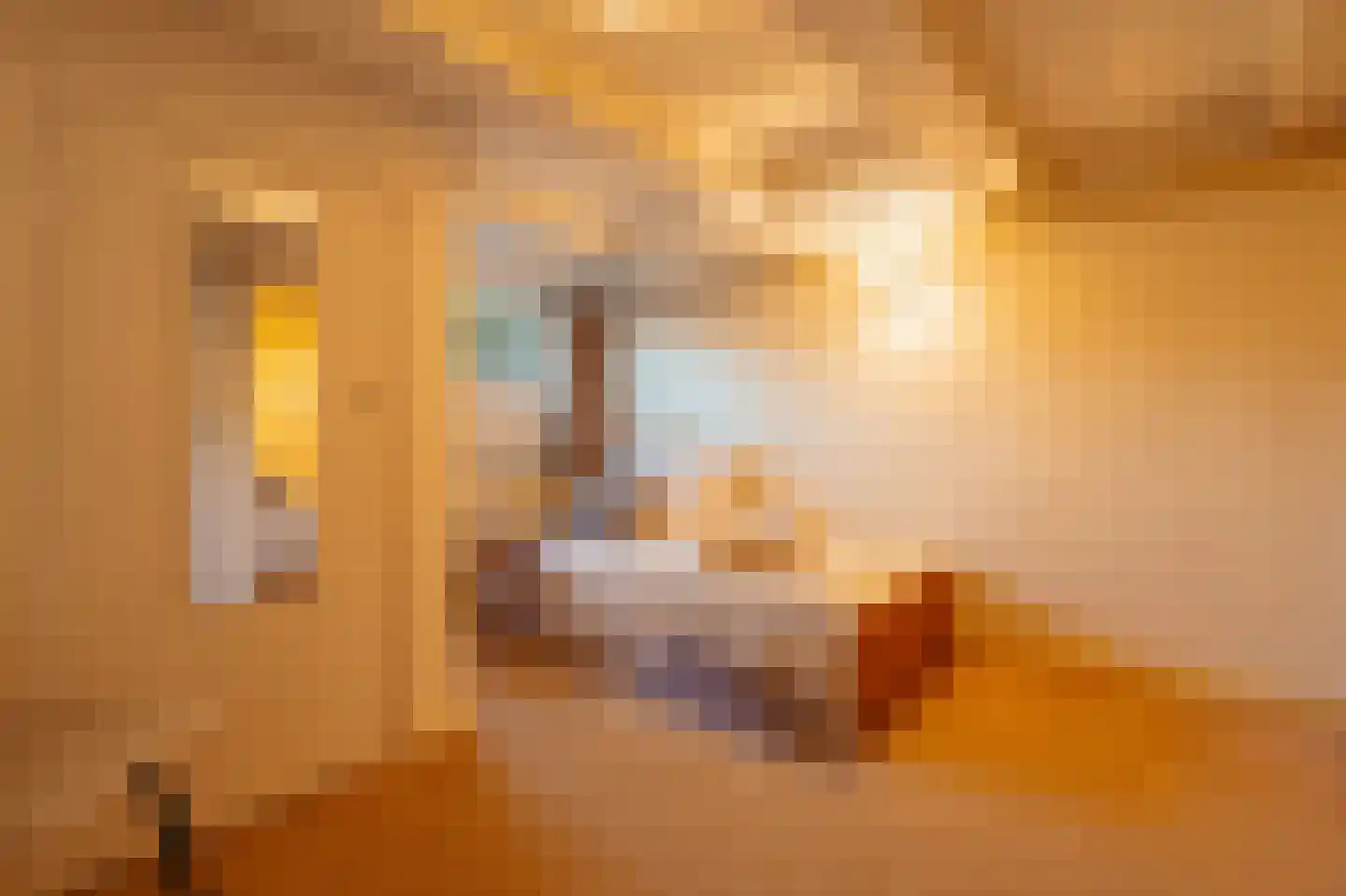 Prinsengracht 788 O Amsterdam thumbnail 17