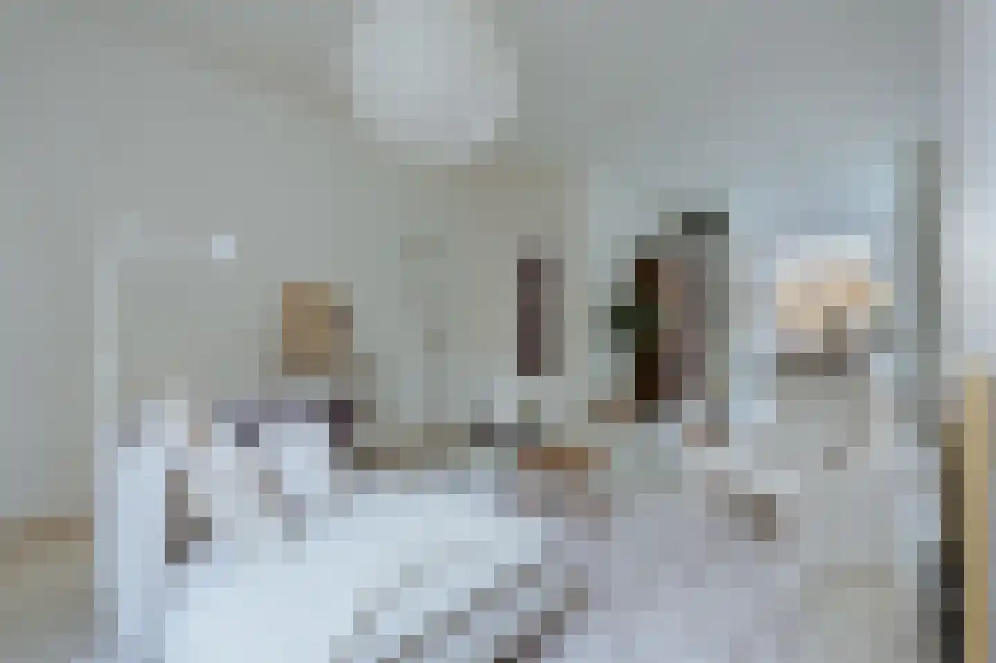 Prinsengracht 788 O Amsterdam thumbnail 7
