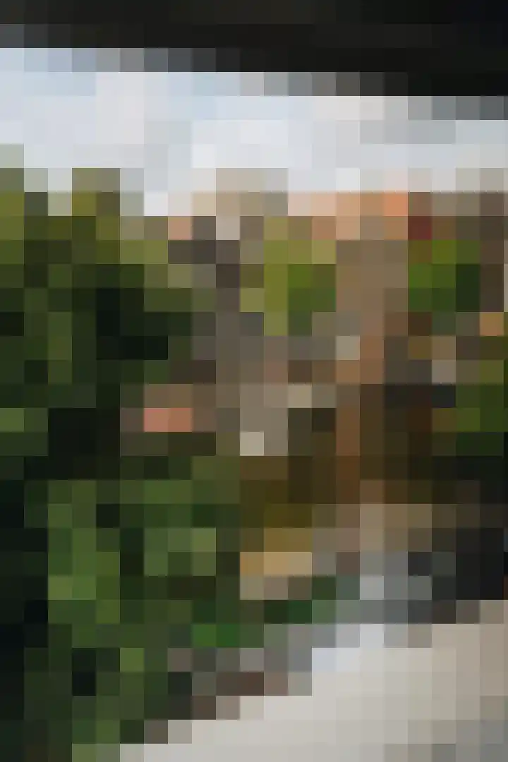 Prinsengracht 801 2 Amsterdam thumbnail 17