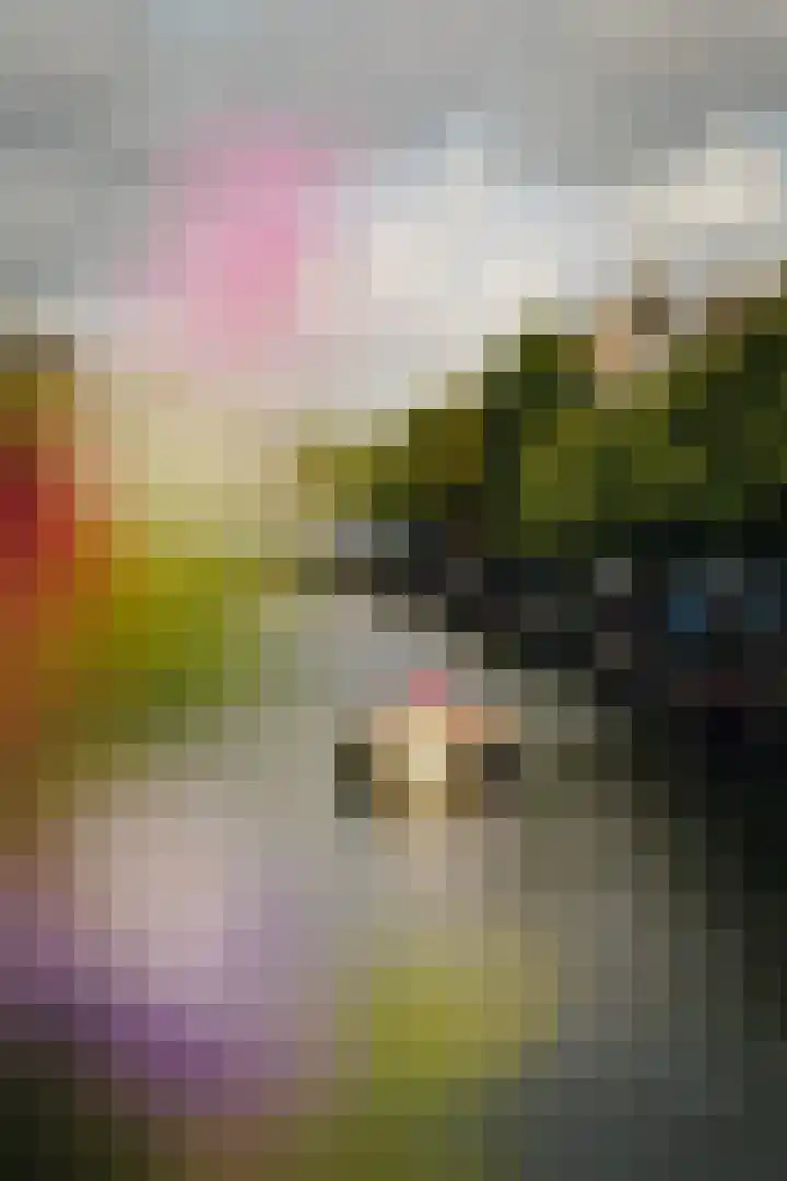 Prinsengracht 801 2 Amsterdam thumbnail 41
