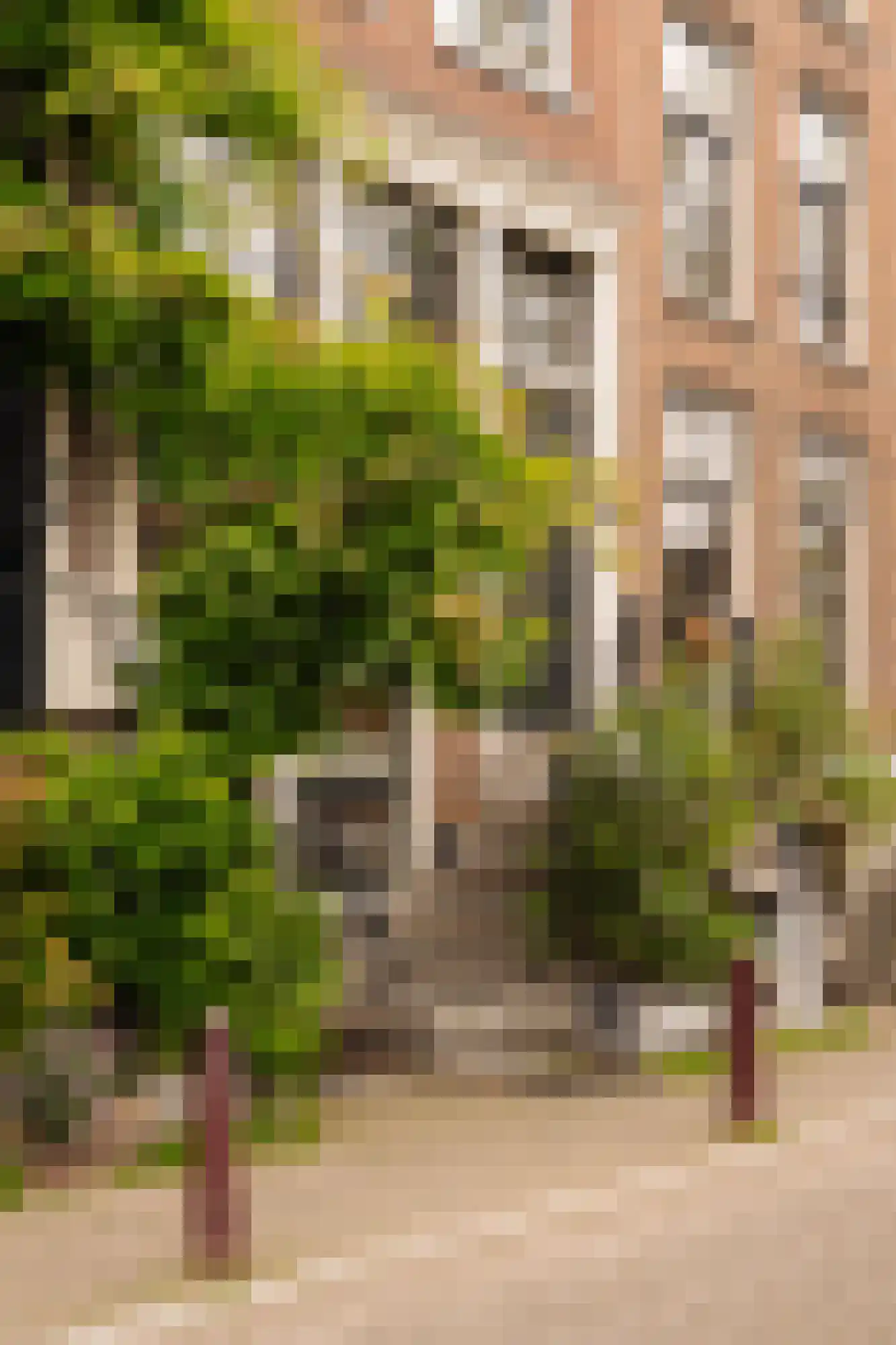 Prinsengracht 81 A Amsterdam thumbnail 39