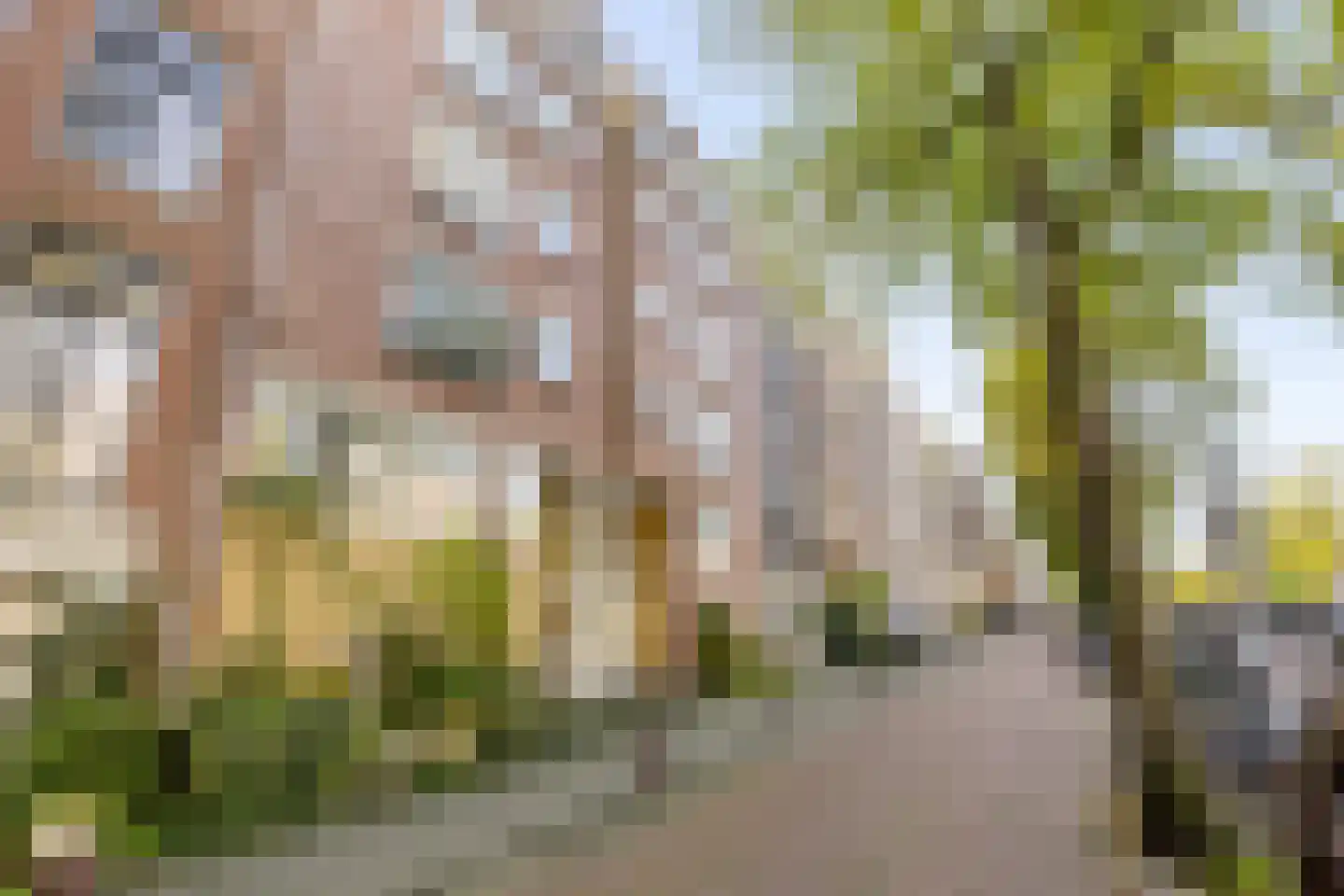 Prinsengracht 832 D Amsterdam thumbnail 5