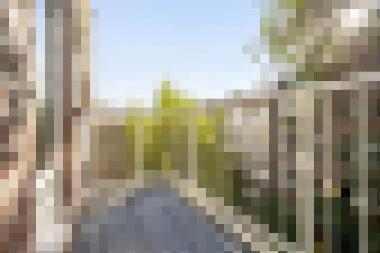 Prinsengracht 832 D Amsterdam thumbnail 9