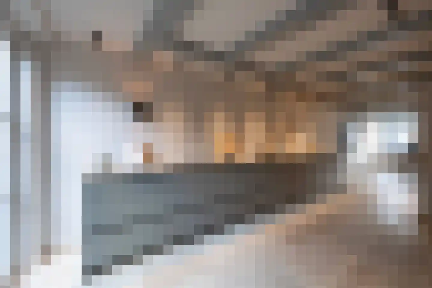 Prinsengracht 845 Amsterdam thumbnail 12
