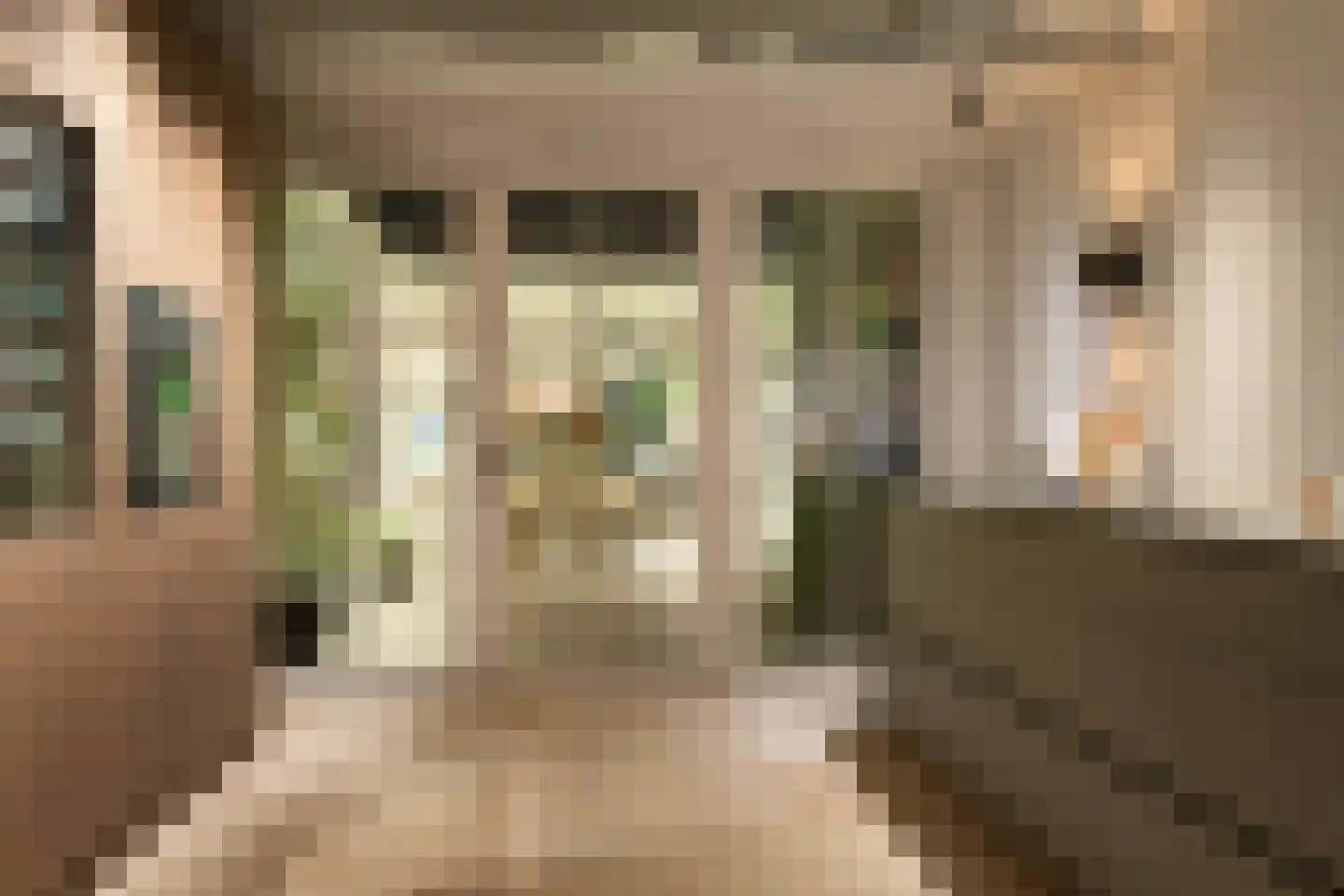 Prinsengracht 845 Amsterdam thumbnail 19