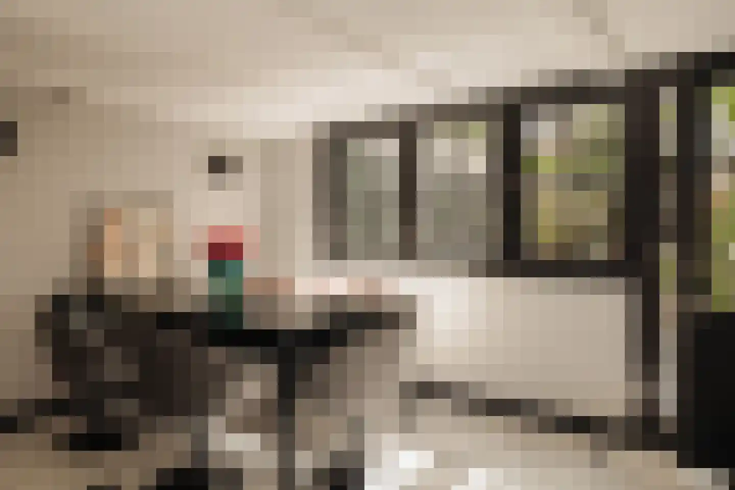Prinsengracht 848 Amsterdam thumbnail 45