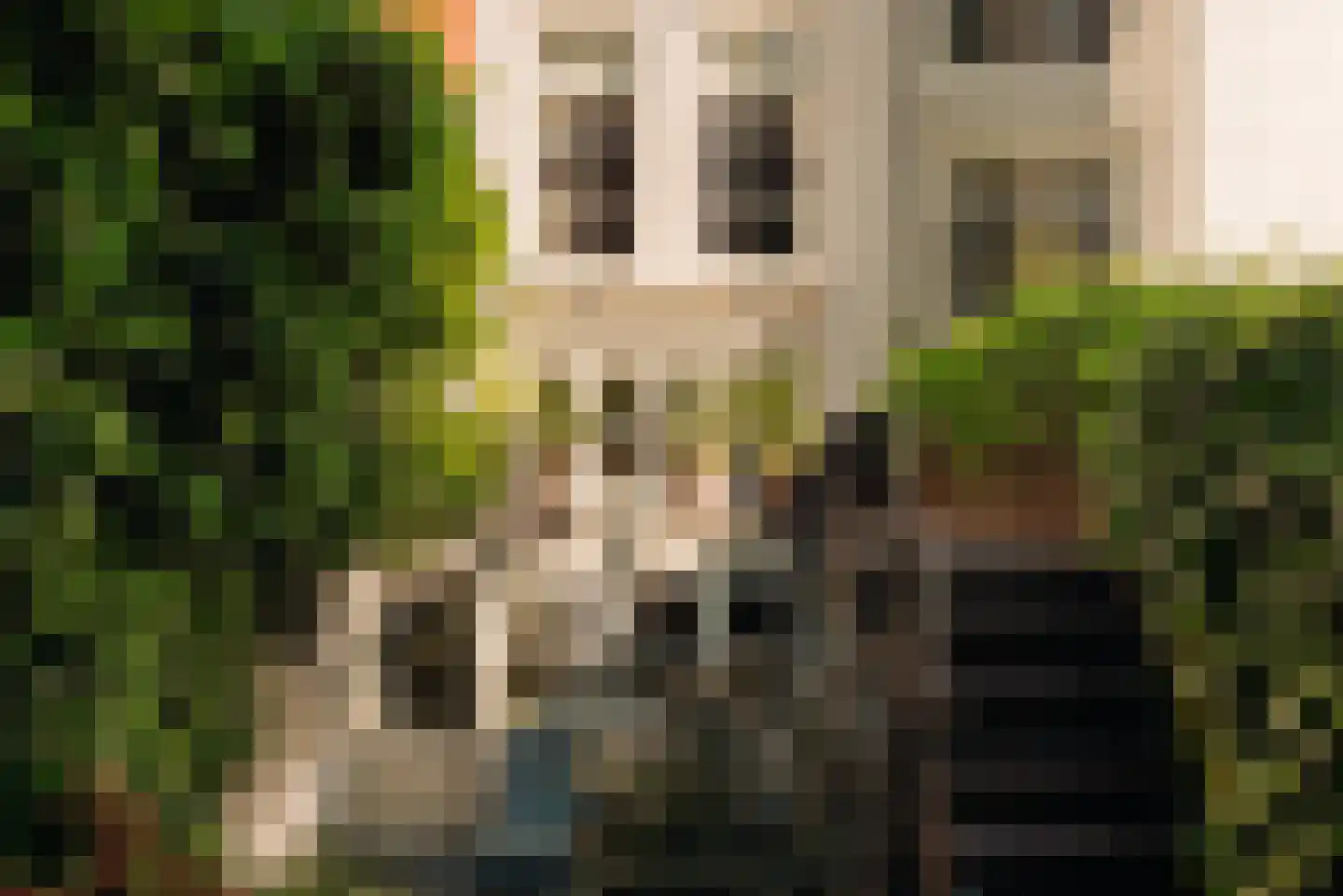 Prinsengracht 848 Amsterdam thumbnail 49