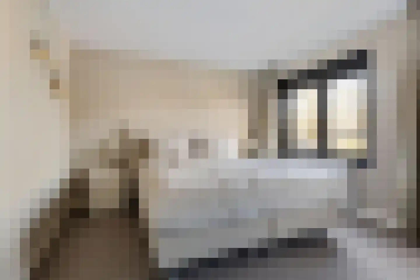 Prinsengracht 89 Ameide thumbnail 19