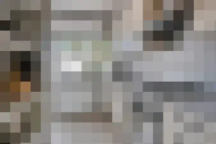 Prinsengracht 89 Ameide thumbnail 25