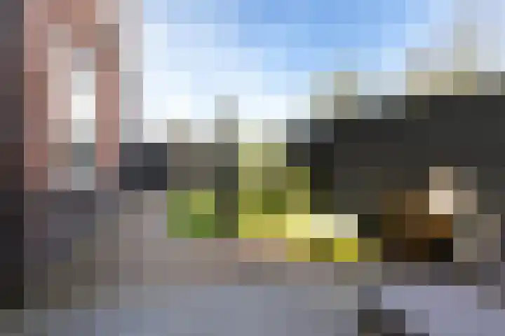 Prinsengracht 89 Ameide thumbnail 36