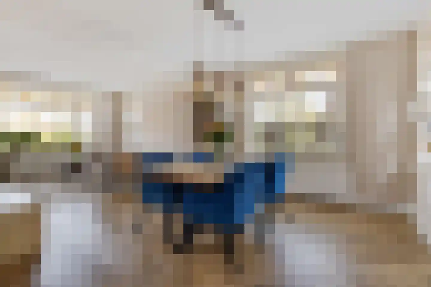 Prinsengracht 89 Ameide thumbnail 8
