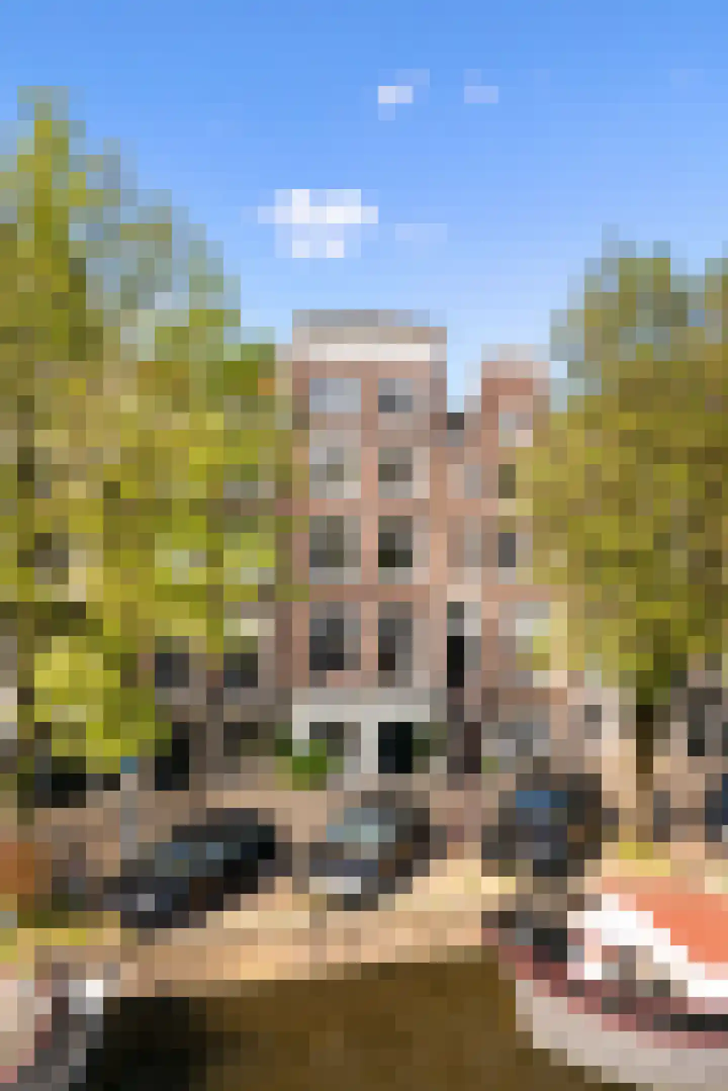 Prinsengracht 989 in Amsterdam