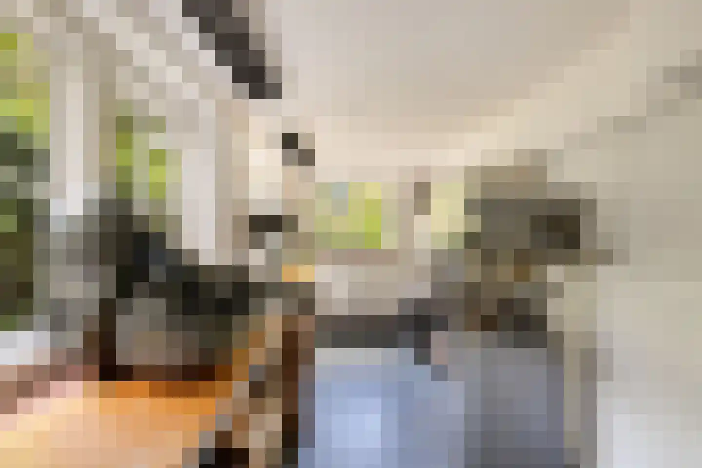 Prinsengracht 989 Amsterdam thumbnail 12