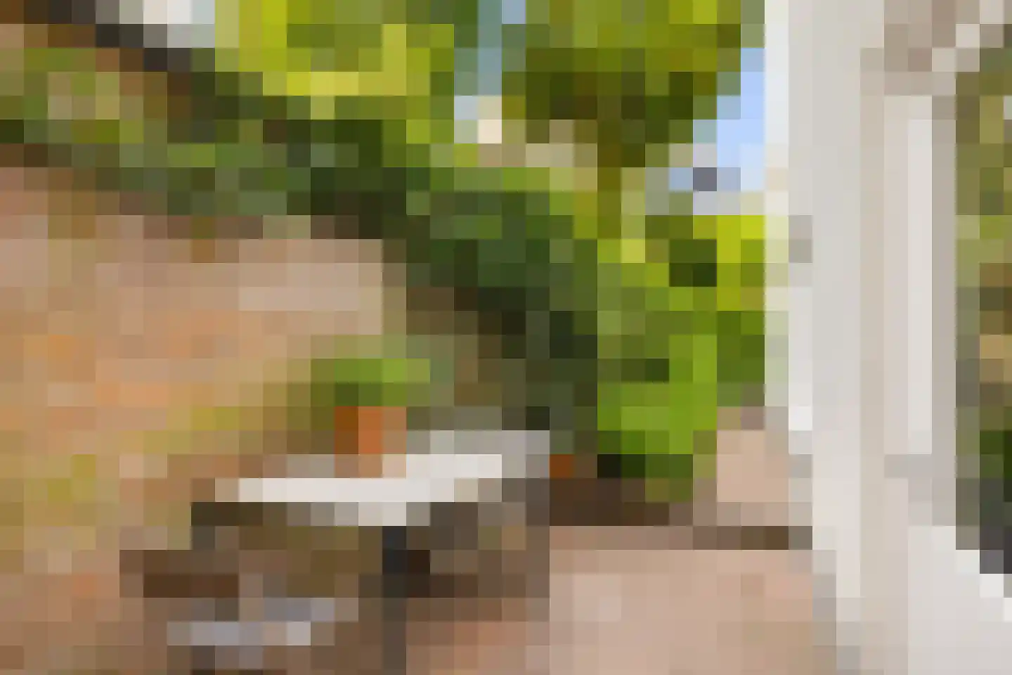 Prinsengracht 989 Amsterdam thumbnail 15
