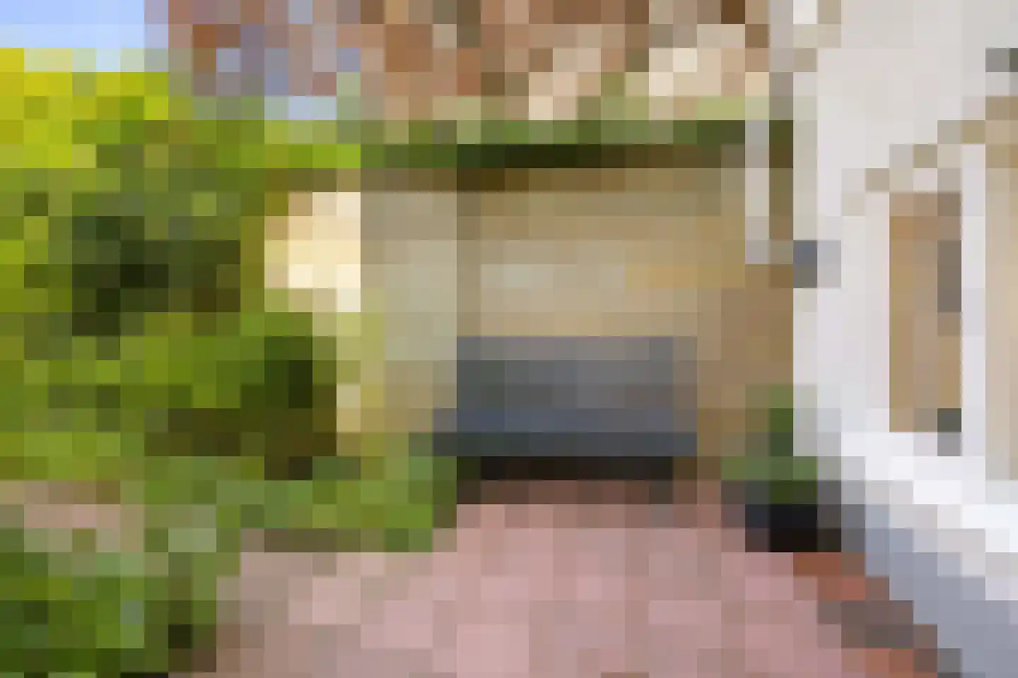 Prinsengracht 989 Amsterdam thumbnail 16