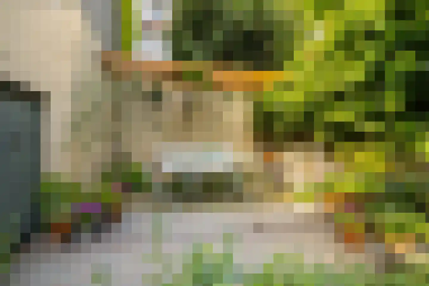 Prinsengracht 989 Amsterdam thumbnail 18