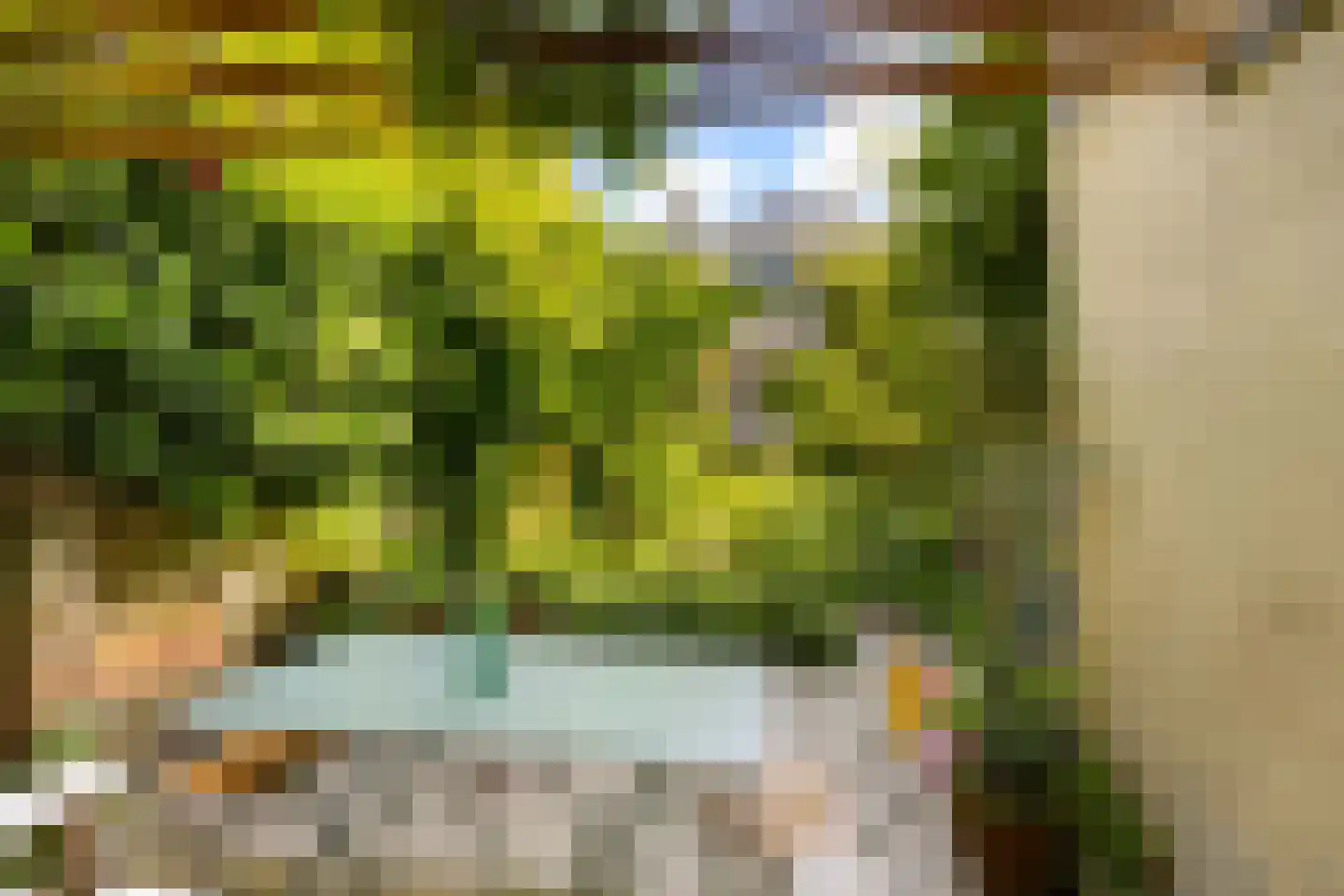 Prinsengracht 989 Amsterdam thumbnail 19