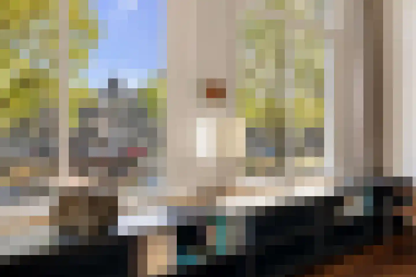Prinsengracht 989 Amsterdam thumbnail 25